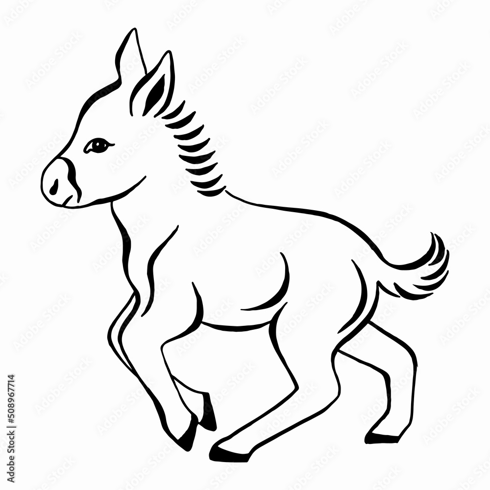 Donkey sketch style. Hand drawn illustration of beautiful black and white animal. Linear drawing. Donkey sketch style. Hand drawn illustration of beautiful black and white animal. Linear drawing.