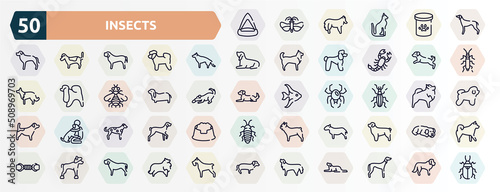 Tablou canvas insects outline icons set