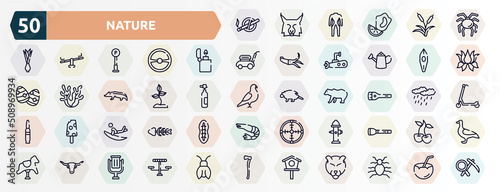 nature outline icons set. thin line icons such as no smoking, null, lighter, canoe, soil, flashlight, surf, fire hydrant, bull, birdhouse icon. photo