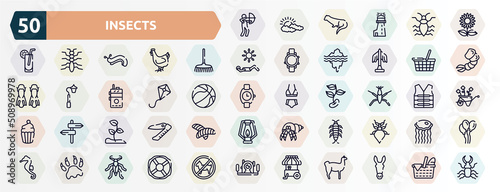 insects outline icons set. thin line icons such as hunter, sunflowers, rake, food basket, kite, pond skater, sprout, silverfish, paw print, ice cream cart icon.