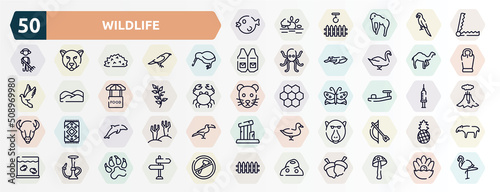 wildlife outline icons set. thin line icons such as puffer fish, trap, kiwi, dromedary, herb, sandals, dolphin, baboon, hookah, anthill icon.