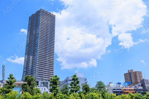 豊島区立南池袋公園から見上げた青空と高層マンション
