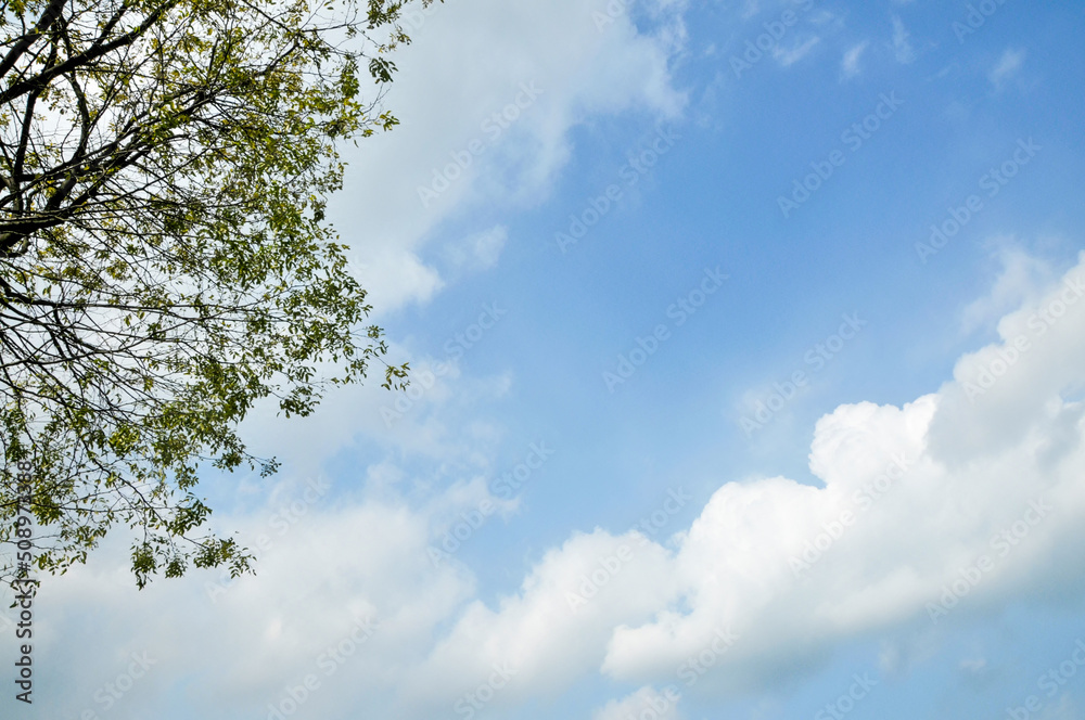 blue sky with clouds blue sky with clouds