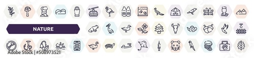 nature outline icons set. thin line icons such as herb, cable car, jaima tent, red panda, bull skull, no cut, harebell, swan, rat icon.
