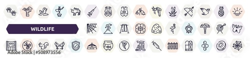 wildlife outline icons set. thin line icons such as pawprints, vaccine, bulrush, cobweb, flamingo, zoo, chipmunk, jaima tent, fence icon.