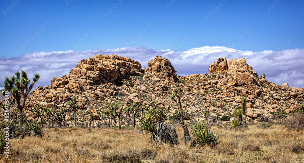 Desert Rock Formation in Joshua Tree