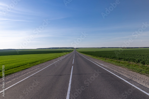 an asphalt road along which green plants