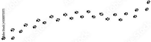 Animal paw print foot trail. Dog  cat paw print. Vector silhouette.