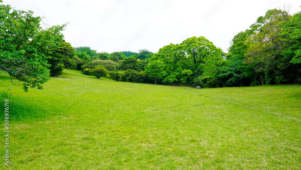 Obraz premium 佐賀県唐津市の鏡山の頂上