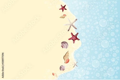 Beautiful background with seashells and starfishes on a beach. Beach, marine nature, nautical concept. Vector Illustration. Beach background
