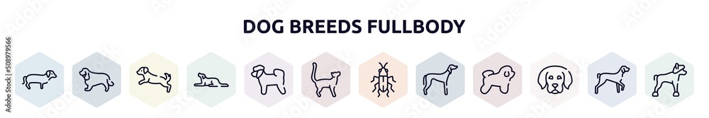dog breeds fullbody outline icons set. thin line icons such as dachshund, english cocker spaniel, dog scaping, border collie, bichon, bengal cat, red soldier beetle, saluki, dog puppy icon. dog breeds fullbody outline icons set. thin line icons such as dachshund, english cocker spaniel, dog scaping, border collie, bichon, bengal cat, red soldier beetle, saluki, dog puppy icon.