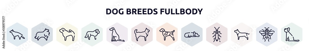 dog breeds fullbody outline icons set. thin line icons such as german sheperd, sheltie, shar pei, st bernard, pointer dog, husky, german shorthaired pointer, sad dog, american staffordshire terrier,