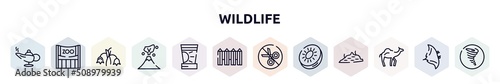 wildlife outline icons set. thin line icons such as magic lamp, zoo, harebell, volcano, sun cream, fence, no cut, kiwi, dromedary icon.