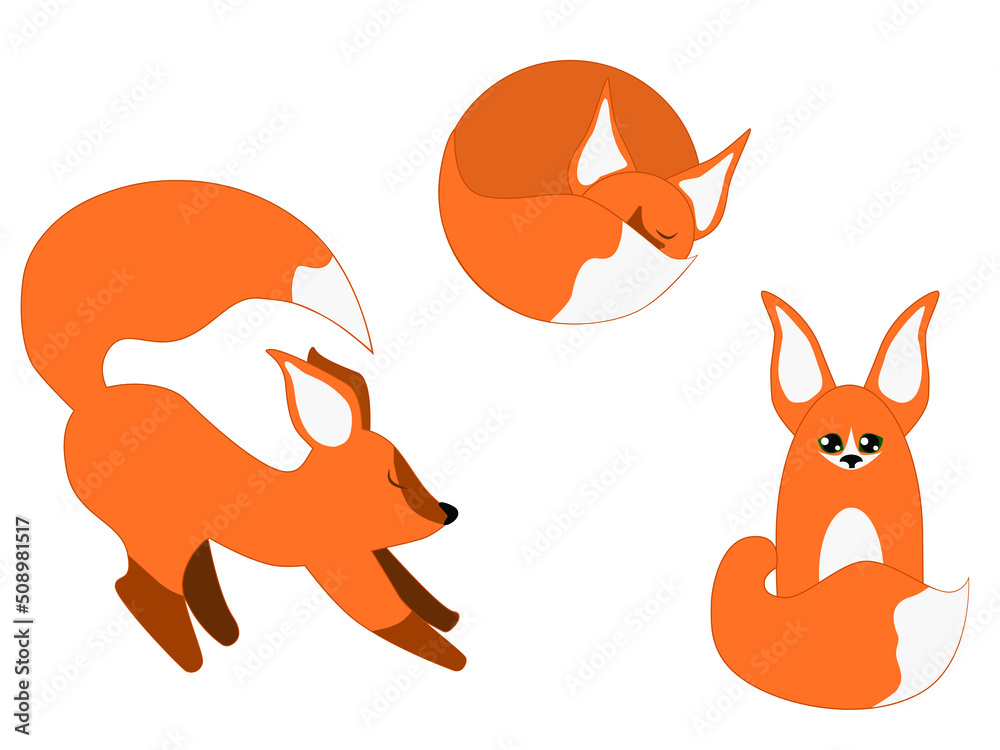 Vector illustration pet fun fox 