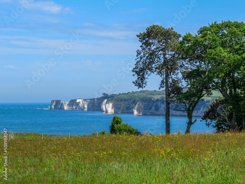 view of Old Harry Rocks standing tall on Handfast Point at the southern end of Studand Bay one of the most famous landmarks on the south coast
 photo