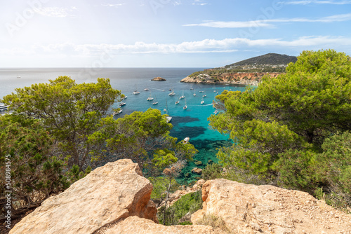 Limestones cliffs, pine and deciduous trees and clear shallow water of bay Cola d'Hort with numerous yachts. Ibiza, Balearic Islands, Spain