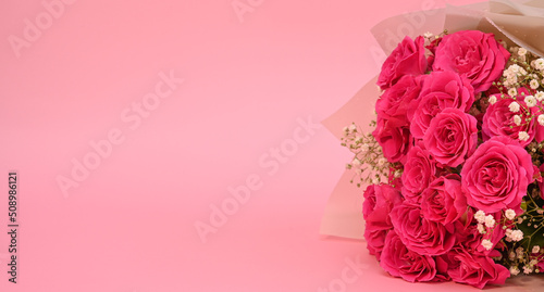 pink roses with gypsophila. bouquet on a pink background.