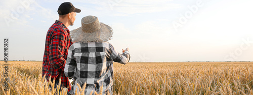 Farmers in field on sunny d...