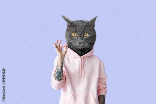 Funny grey cat with human body showing OK on lilac background