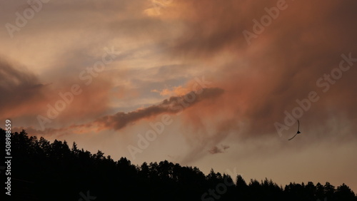 Abendrot mit Wald Silhouette