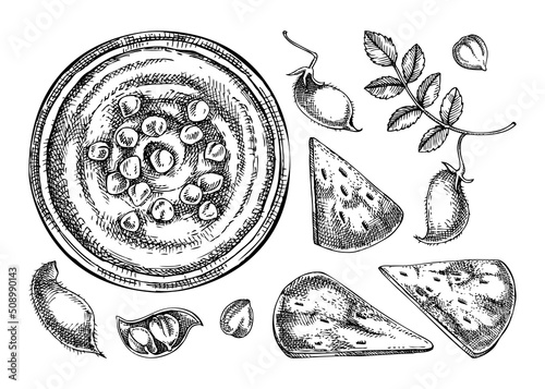Hummus drawings set. Mediterranean food and ingredients sketches. Vegan food illustration. Hand drawn hummus in plate, pita and chickpeas for menu or packaging design.