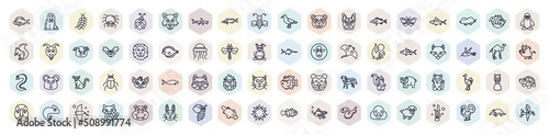 Fototapete set of animals web icons in outline style
