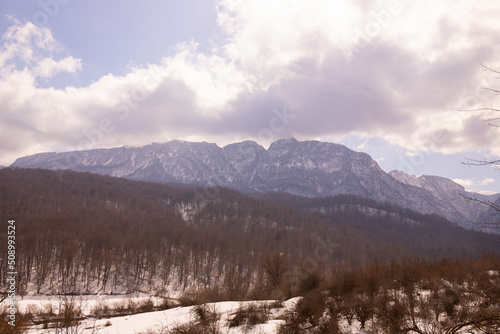 Fototapeta Naklejka Na Ścianę i Meble -  Winter forest in the mountains.
