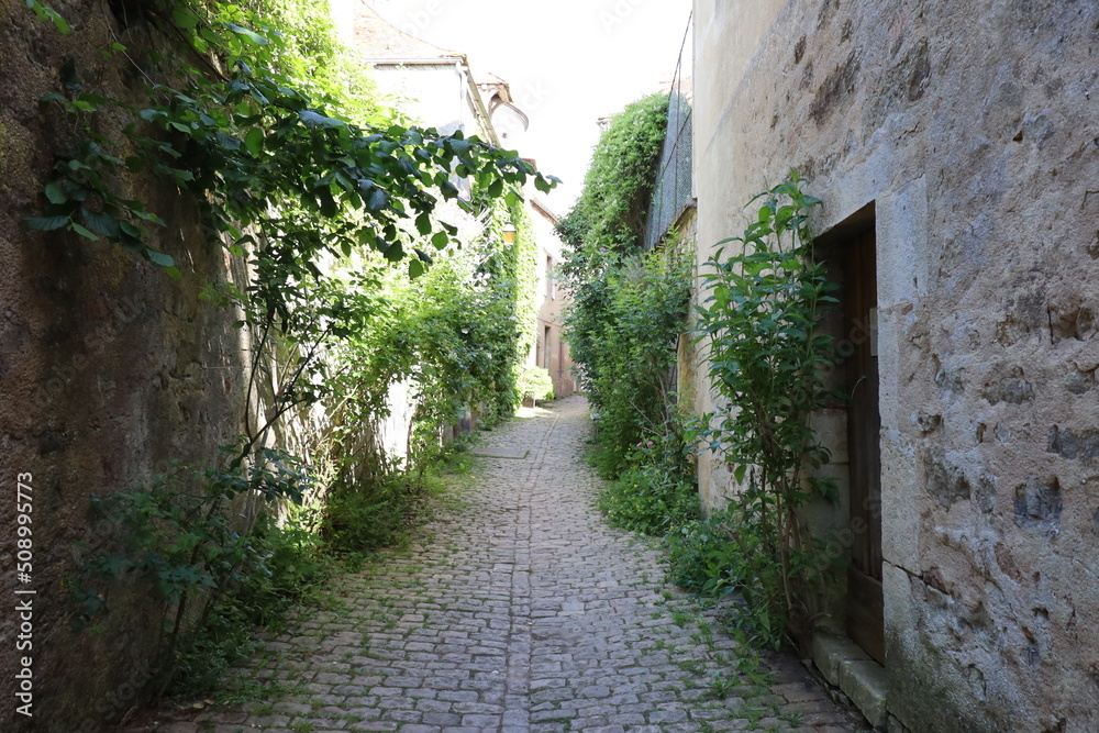 Fototapeta premium Rue typique, village de Semur en Auxois, département de la Côte d'Or, France