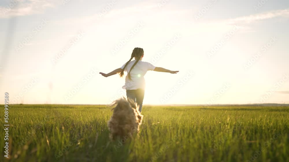 Cheerful child run along green grass. Dog run after girl along green glade in summer. Child play with dog in park. Happy girl walk in summer in park with dog. Child in rays of sun in field on grass. Cheerful child run along green grass. Dog run after girl along green glade in summer. Child play with dog in park. Happy girl walk in summer in park with dog. Child in rays of sun in field on grass.