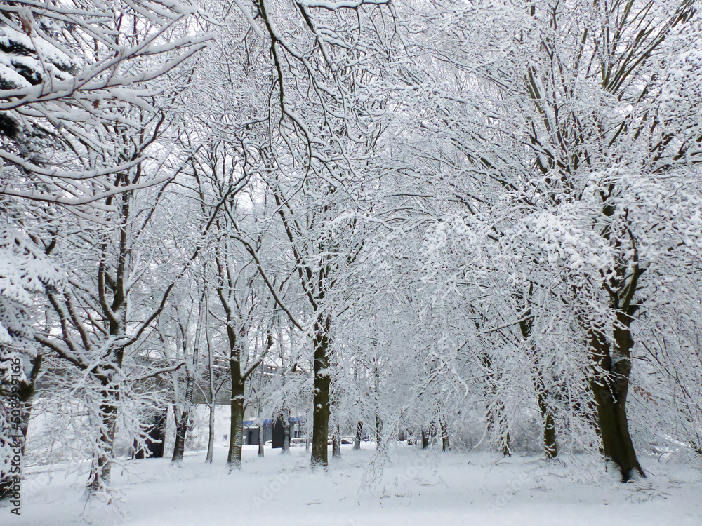 Lille, France - January 2020: Lille under the snow - Campus of the Cité Scientifique (Villeneuve d'Ascq) sector Lille, France - January 2020: Lille under the snow - Campus of the Cité Scientifique (Villeneuve d'Ascq) sector