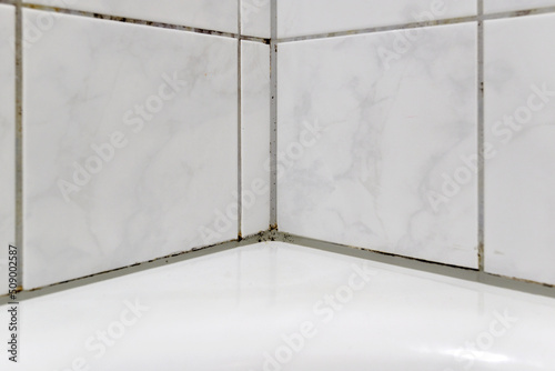 Mould in a bathroom