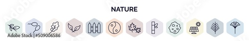 set of nature web icons in outline style. thin line icons such as willow leaf, fertilize clinic, oak leaf, falcate, fences, asian, dry leaf, bamboo sticks, solar icon.