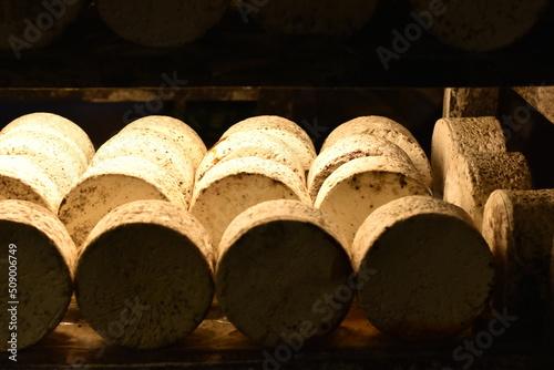 Fotografie meules de roquefort dans la cave d'affinage