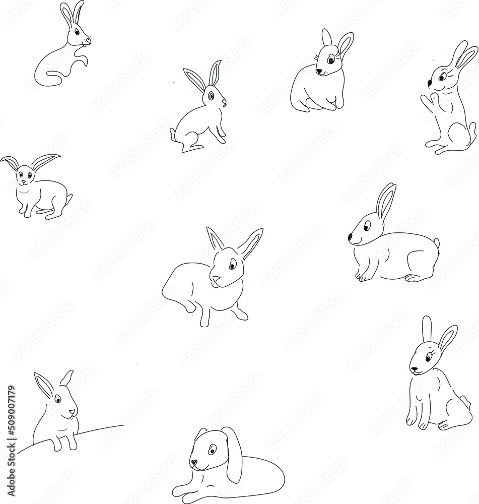 rabbit set bunny
