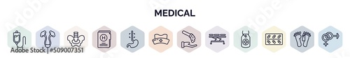 set of medical web icons in outline style. thin line icons such as plasma, bladder, pelvic area, medical results folders, esophagus, nurse cross, acid falling on hand, table of treatments, cure,