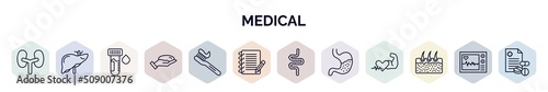 set of medical web icons in outline style. thin line icons such as kidneys, liver, blood sample, breast implant, tooth brush, notepad, intestines, stoh, epidermis icon.