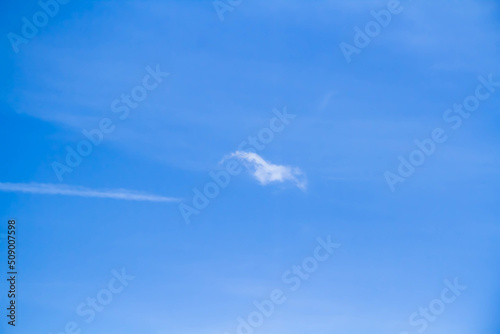 Cumulus clouds. White clouds on a blue background.