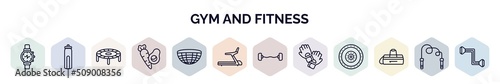 set of gym and fitness web icons in outline style. thin line icons such as training watch, hydratation, trampoline, fitness food, bosu ball, training apparatus, dumbbells bar, , gym bag