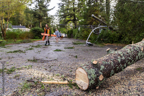 Selective focus shot of felled trunk lying in the middle of road, with sawdust as blurry tree surgeons work to clear street in background after storm.