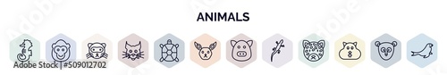 set of animals web icons in outline style. thin line icons such as sea horse, ape, ferret, lynx, tortoise, jerboa, hog, gecko, wombat icon.