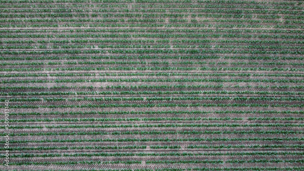 code background code background