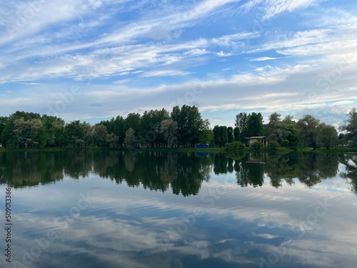 tree reflection on the lake surface in the park