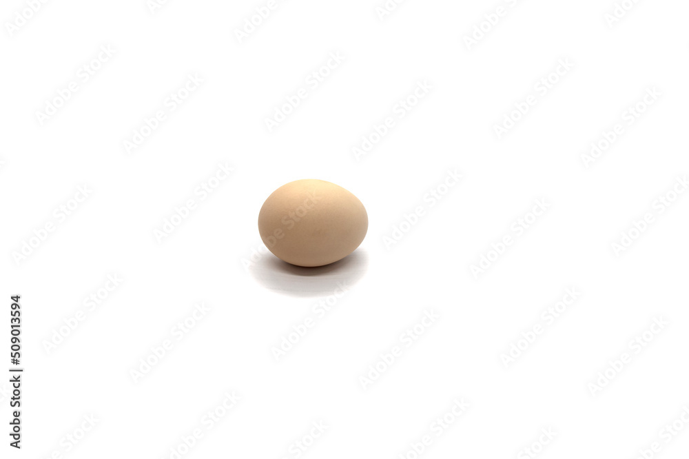 Chicken egg on a white background Chicken egg on a white background