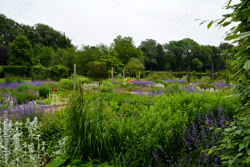 Botanischer Garten in Gütersloh im Juni, Park