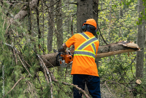 A tree surgeon is seen from behind wearing high visibility clothes, using chainsaw to clear severed trees after gale force winds Fototapet
