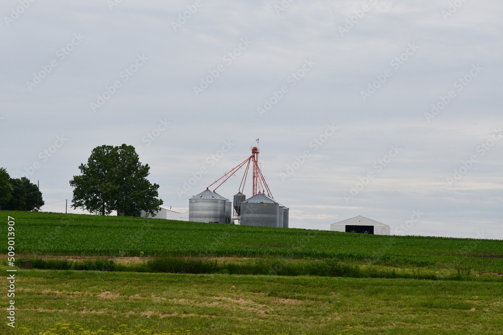 Fototapeta premium Grain Bins in a Farm Field