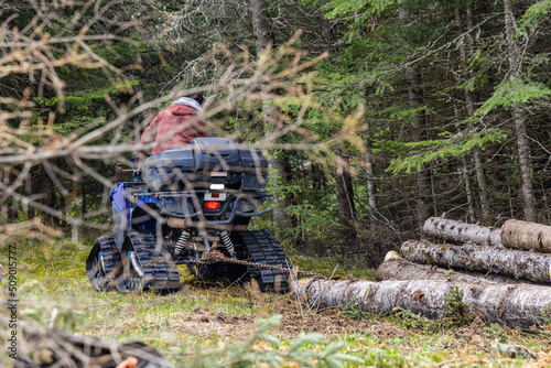 Selective focus view in forest clearing with blurred branches in foreground. A forester is seen riding a quad bike in background with pine trees.