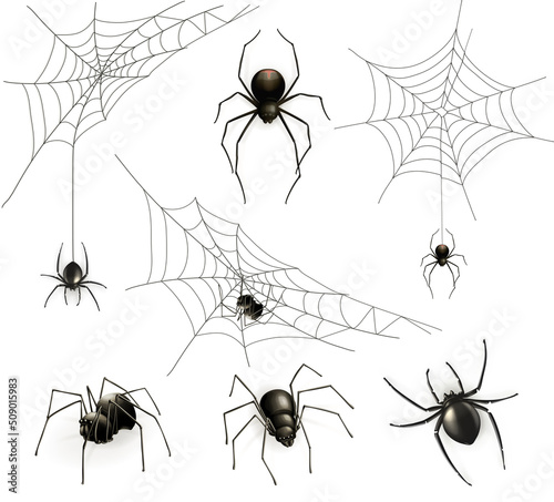 Carta da parati Spiders and spider web, vector set
