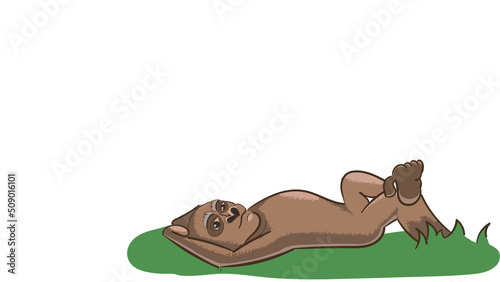 Vector illustration of monkey laying on the grass on white background and free space for the text