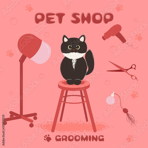 illustration for grooming salon black cat and groomer tools